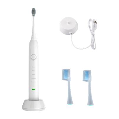 PEIKUTASTIC​ Supersonic Toothbrush Heads- White- 4 Pack
